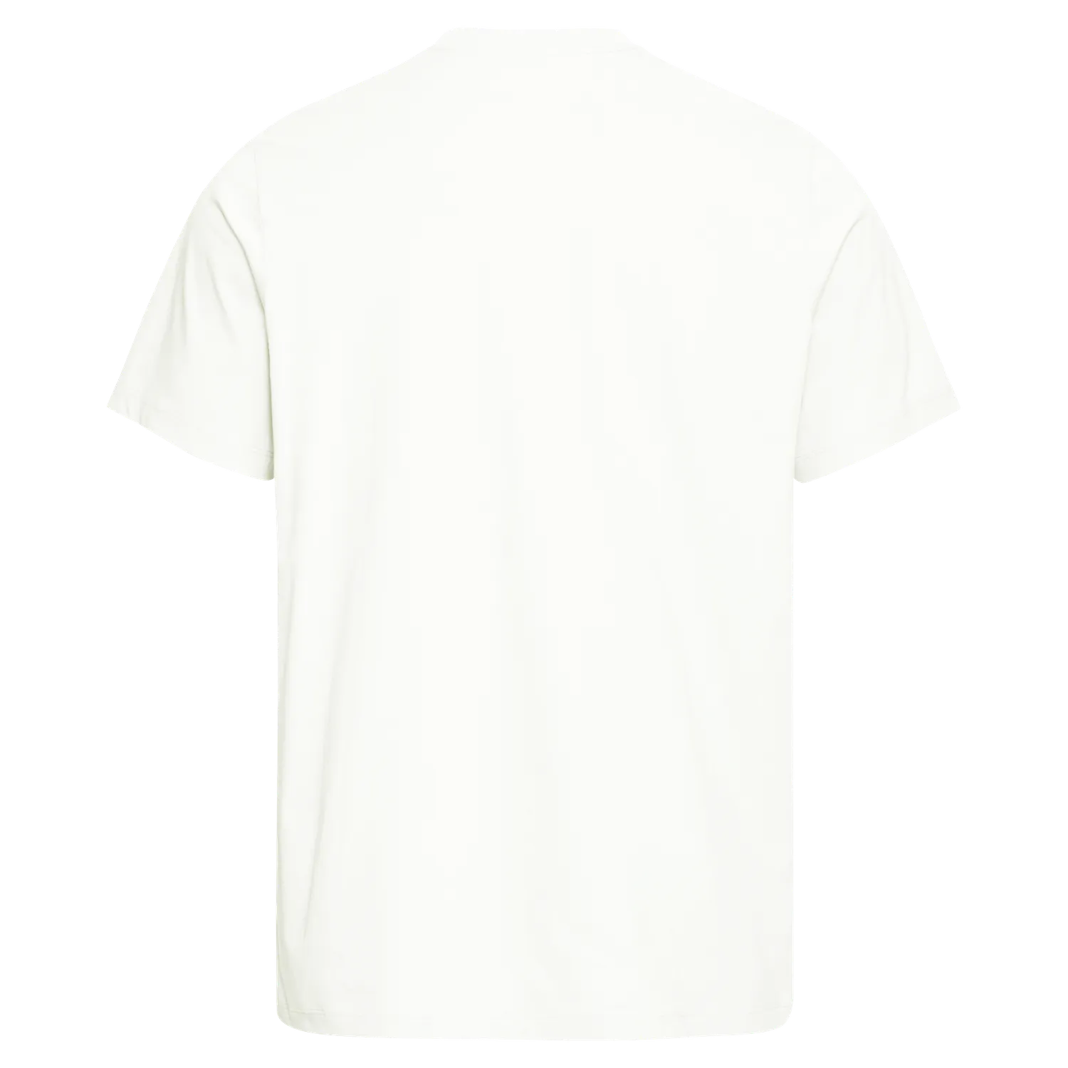 Jack Wolfskin Brand T M t-shirt homme coton