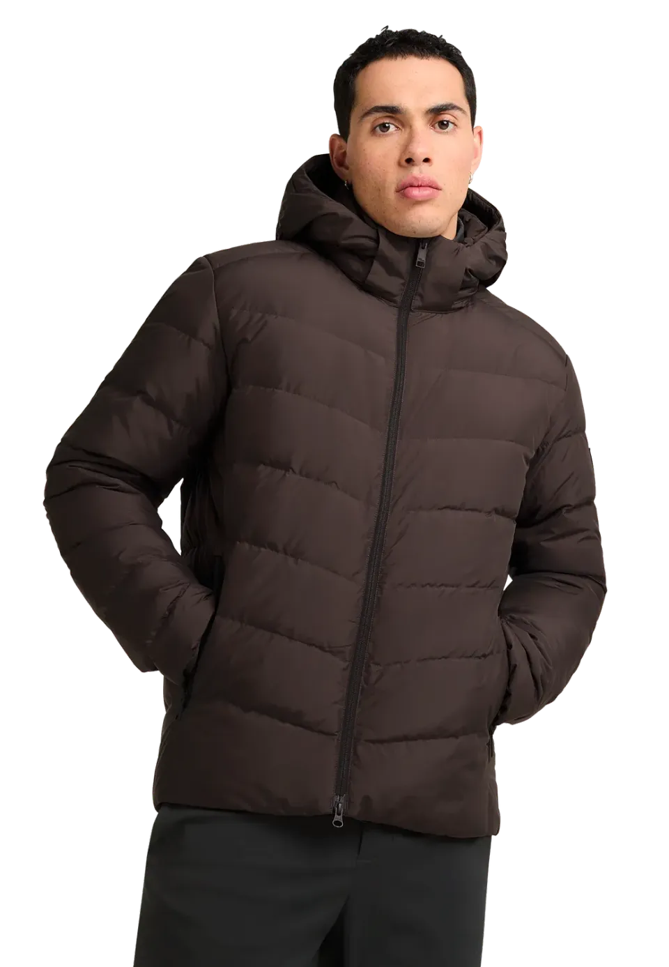 Jack Wolfskin Colonius JKT M doudoune homme duvet