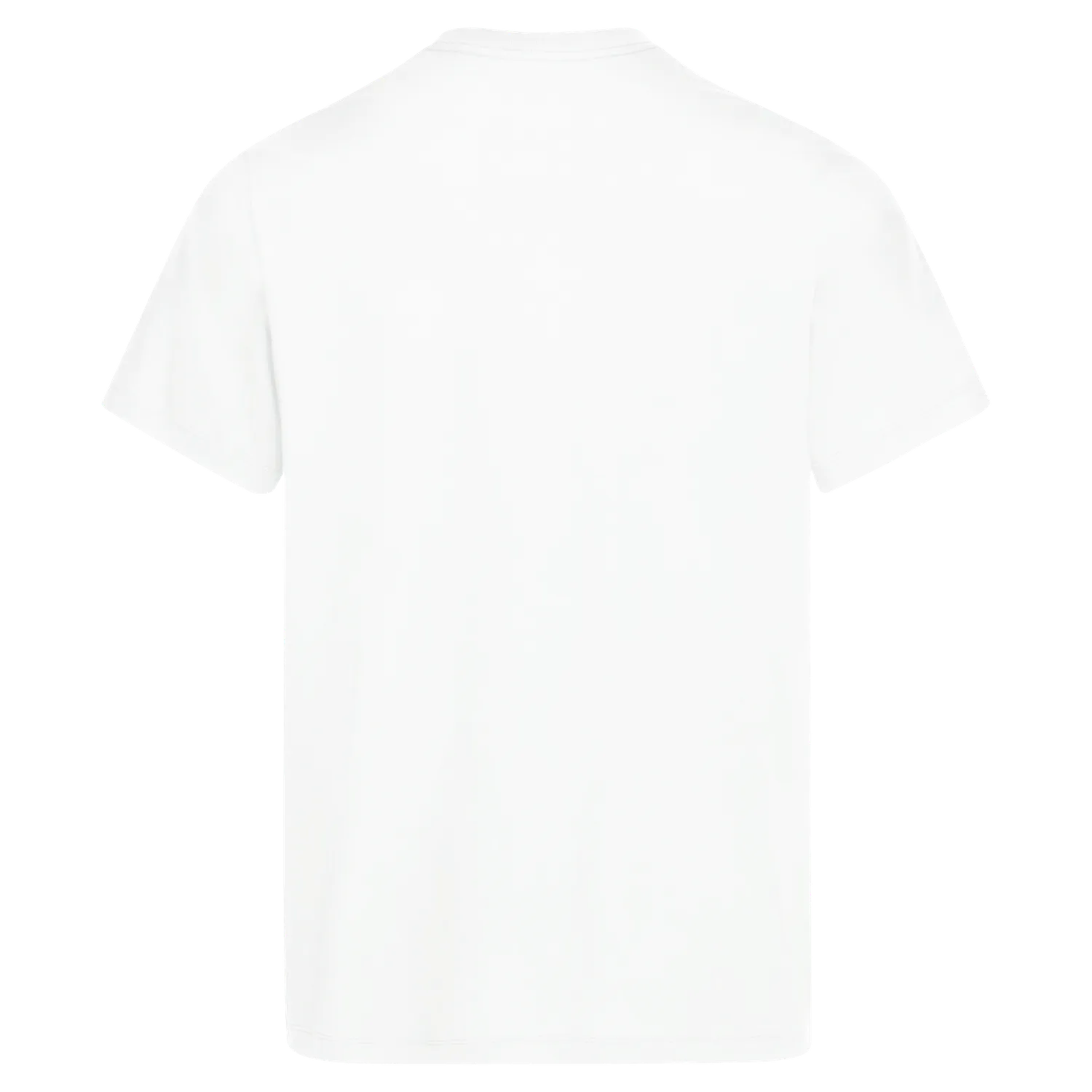 Jack Wolfskin Essential T M t-shirt homme coton