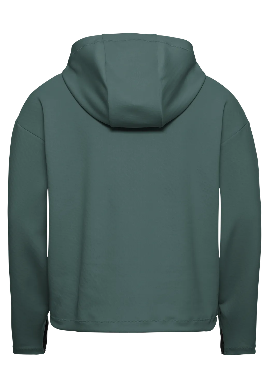 Jack Wolfskin Astrotrail Hoody Sweat femme polaire